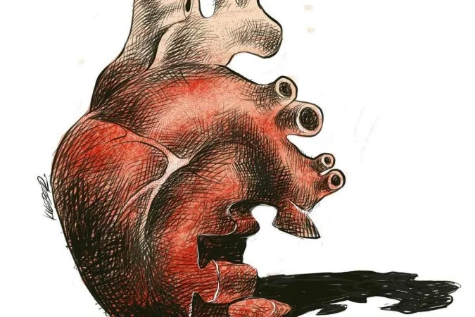 Atendimento humanizado em saúde cardiovascular com Dr. Rafael